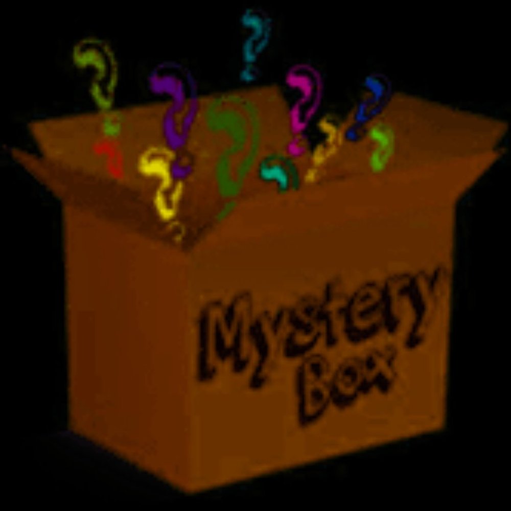 6 PIECE MYSTERY BLOUSE BOX various sizes